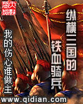 《纵横三国的铁血骑兵》(校对版全本)作者:我的伤心谁做主 百度云txt全集下载 封面