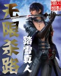 《无限杀路》（校对版全本）作者：踏雪真人 百度云txt全集下载 封面