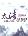 《太浩》（校对版全本）作者：无极书虫 百度云txt全集下载 封面