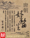 《唐朝好医生》（校对版全本）作者：望平安 百度云txt全集下载 封面