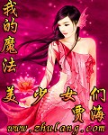 《我的魔法美少女们》（校对版全本）作者：贾海 百度云txt全集下载 封面
