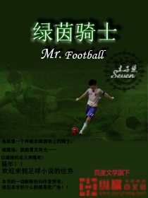 《绿茵骑士》（校对版全本）作者：木子柒7 百度云txt全集下载 封面