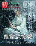 《白首太玄经》（校对版全本）作者：小盗非道1 百度云txt全集下载 封面