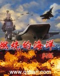 《燃烧的海洋》（校对版全本）作者：闪烁 百度云txt全集下载 封面