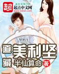 《道藏美利坚》（校对版全本）作者：半仙算命 百度云txt全集下载 封面