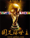 《国足救世主》(校对版全本)作者:那年那兔 百度云txt全集下载 封面