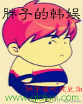《胖子的韩娱》（校对版全本）作者：胖子爱吃炖豆角 百度云txt全集下载 封面