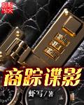 《商踪谍影》（校对版全本）作者：虾写 百度云txt全集下载 封面