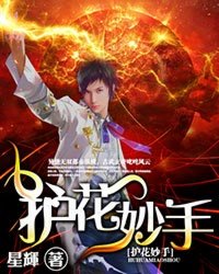 《护花妙手》（校对版全本）作者：星辉 百度云txt全集下载 封面