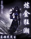 《炼金狂潮》（校对版全本）作者：蓝领笑笑生 百度云txt全集下载 封面