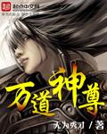 《万道神尊》（校对版全本）作者：无为秀才 百度云txt全集下载 封面
