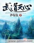 《武道天心》（校对版全本）作者：沙包包 百度云txt全集下载 封面