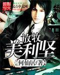 《放牧美利坚》(校对版全本)作者:何仙居 百度云txt全集下载 封面