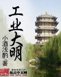 《工业大明》(校对版全本)作者:小酒浅酌 百度云txt全集下载 封面