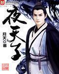 《夜天子》(校对版全本)作者:月关 百度云txt全集下载 封面