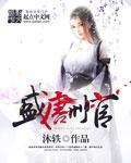 《盛唐刑官》（校对版全本）作者：沐轶 百度云txt全集下载 封面