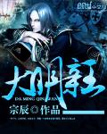 《大明亲王》（校对版全本）作者：宗辰 百度云txt全集下载 封面