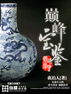 《巅峰宝鉴》（校对版全本）作者：夜泊人 百度云txt全集下载 封面