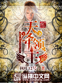 《天降领主》（校对版全本）作者：枫叶12号 百度云txt全集下载 封面
