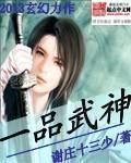《一品武神》（校对版全本）作者：谢庄十三少 百度云txt全集下载 封面