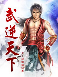 《武逆天下》（校对版全本）作者：天上掉熊猫 百度云txt全集下载 封面