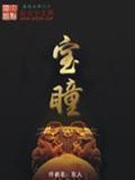 《宝瞳》（校对版全本）作者：东人 百度云txt全集下载 封面