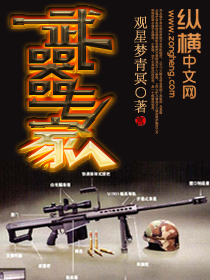 《武器专家》（校对版全本）作者：观星梦青冥 百度云txt全集下载 封面