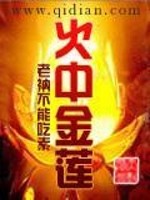 《火中金莲》（校对版全本）作者：老衲不能吃素 百度云txt全集下载 封面
