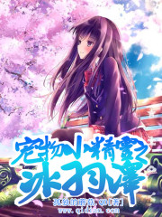 《宠物小精灵之冰羽泽》（校对版全本）作者：孤独的蘑菇.QD 百度云txt全集下载 封面