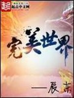 《完美世界》（校对版全本）作者：辰东 百度云txt全集下载 封面