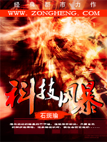 《科技风暴》（校对版全本）作者：石斑瑜 百度云txt全集下载 封面