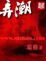 《弄潮》（校对版全本）作者：瑞根 百度云txt全集下载 封面