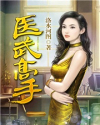 《医武高手》（校对版全本）作者：洛水河图 百度云txt全集下载 封面