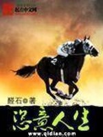《恣意人生》(校对版全本)作者:醛石 百度云txt全集下载 封面