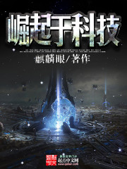 《崛起于科技》（校对版全本）作者：麒麟眼 百度云txt全集下载 封面