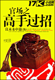 《官场之高手过招》（校对版全本）作者：良木水中游 百度云txt全集下载 封面