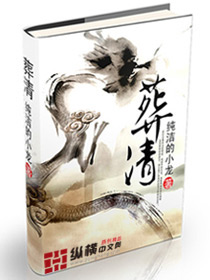 《葬清》（校对版全本）作者：纯洁的小龙 百度云txt全集下载 封面