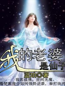 《我的老婆是仙子》（校对版全本）作者：蓝珀 百度云txt全集下载 封面