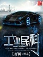 《工业民科》（校对版全本）作者：好闲 百度云txt全集下载 封面