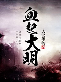 《血起大明》（校对版全本）作者：大汉雄魂 百度云txt全集下载 封面