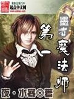 《第一魔法师》（校对版全本）作者：夜·水寒 百度云txt全集下载 封面