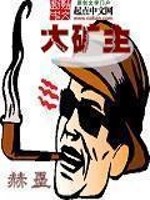 《大矿主》(校对版全本)作者:赫墨 百度云txt全集下载 封面