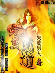 《完美贼道》（校对版全本）作者：失败男人 百度云txt全集下载 封面