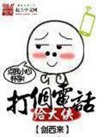 《打个电话给大侠》（校对版全本）作者：剑西来 百度云txt全集下载 封面