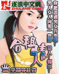 《合租情人》(校对版全本)作者:坐墙等红杏 百度云txt全集下载 封面