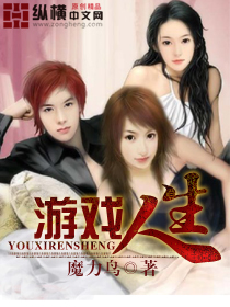 《游戏人生》（校对版全本）作者：魔力鸟 百度云txt全集下载 封面