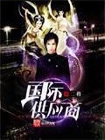 《国际供应商》（校对版全本）作者：二将 百度云txt全集下载 封面