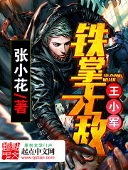 《铁掌无敌王小军》（校对版全本）作者：张小花 百度云txt全集下载 封面