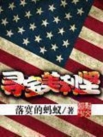 《寻宝美利坚》（校对版全本）作者：落寞的蚂蚁 百度云txt全集下载 封面
