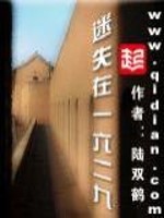 《迷失在一六二九》（校对版全本）作者：陆双鹤 百度云txt全集下载 封面